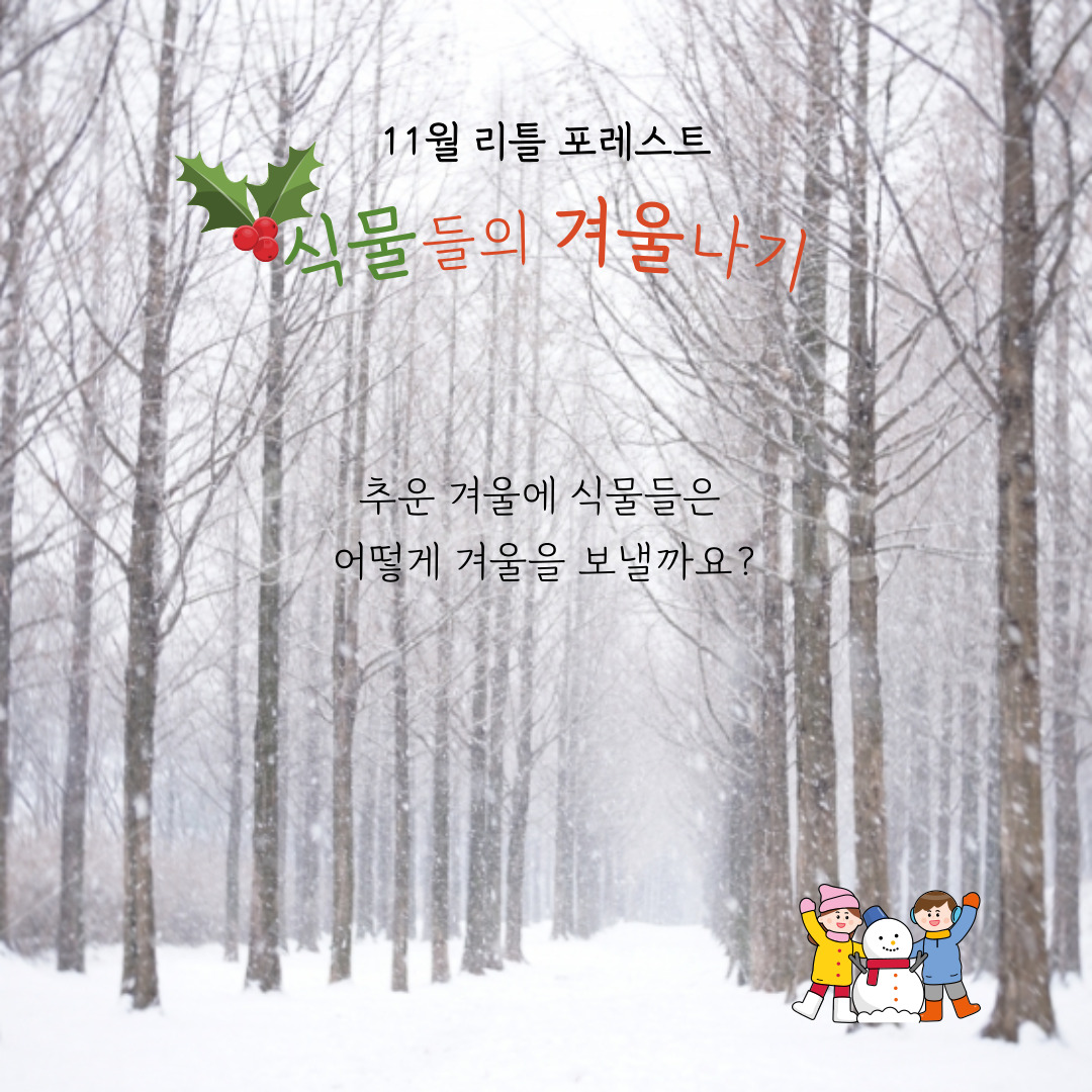 [교육후기] 리틀포레스트 11월 <반가워 겨울아!>