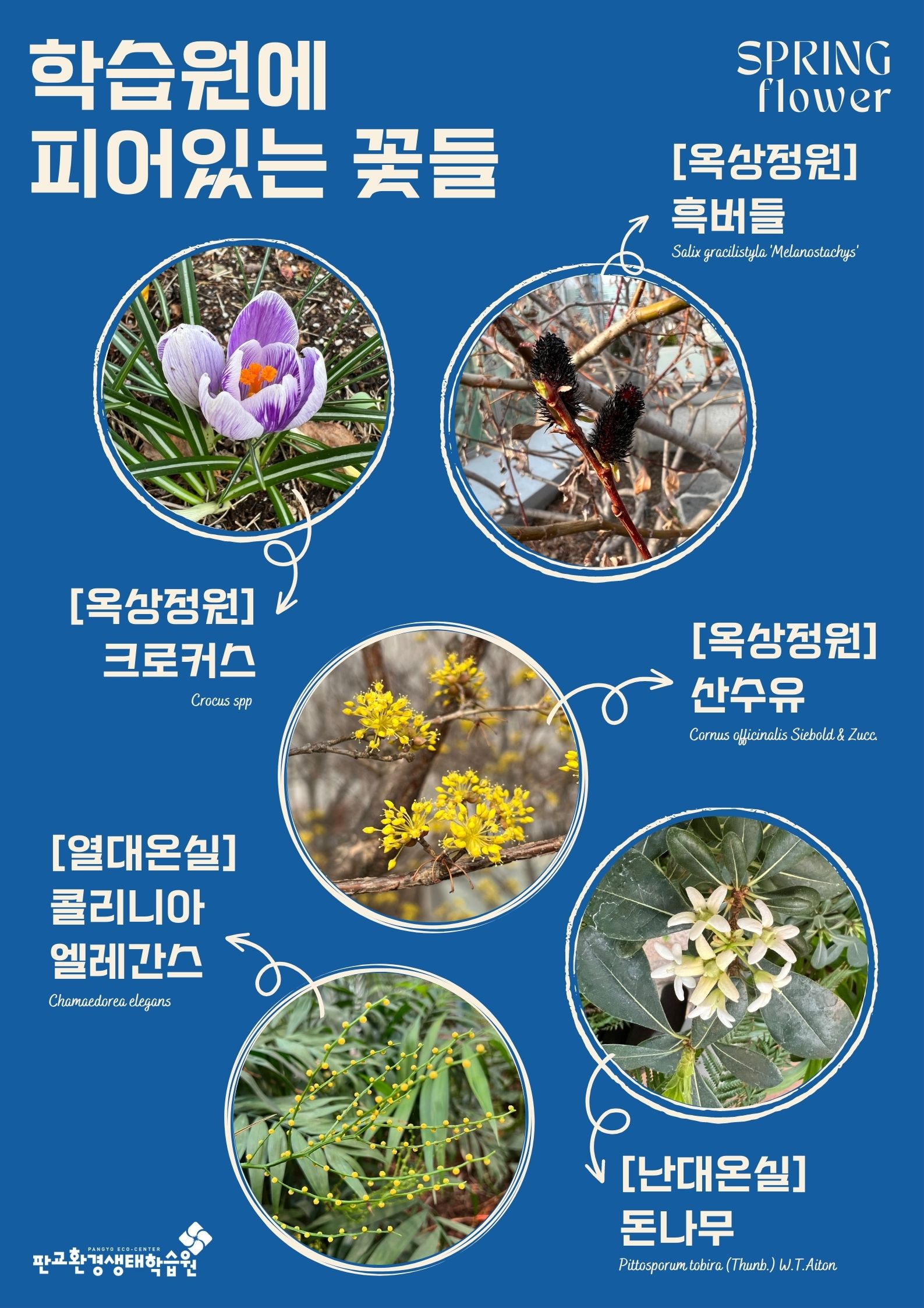 학습원에 피어있는 꽃들(봄_vol.2)