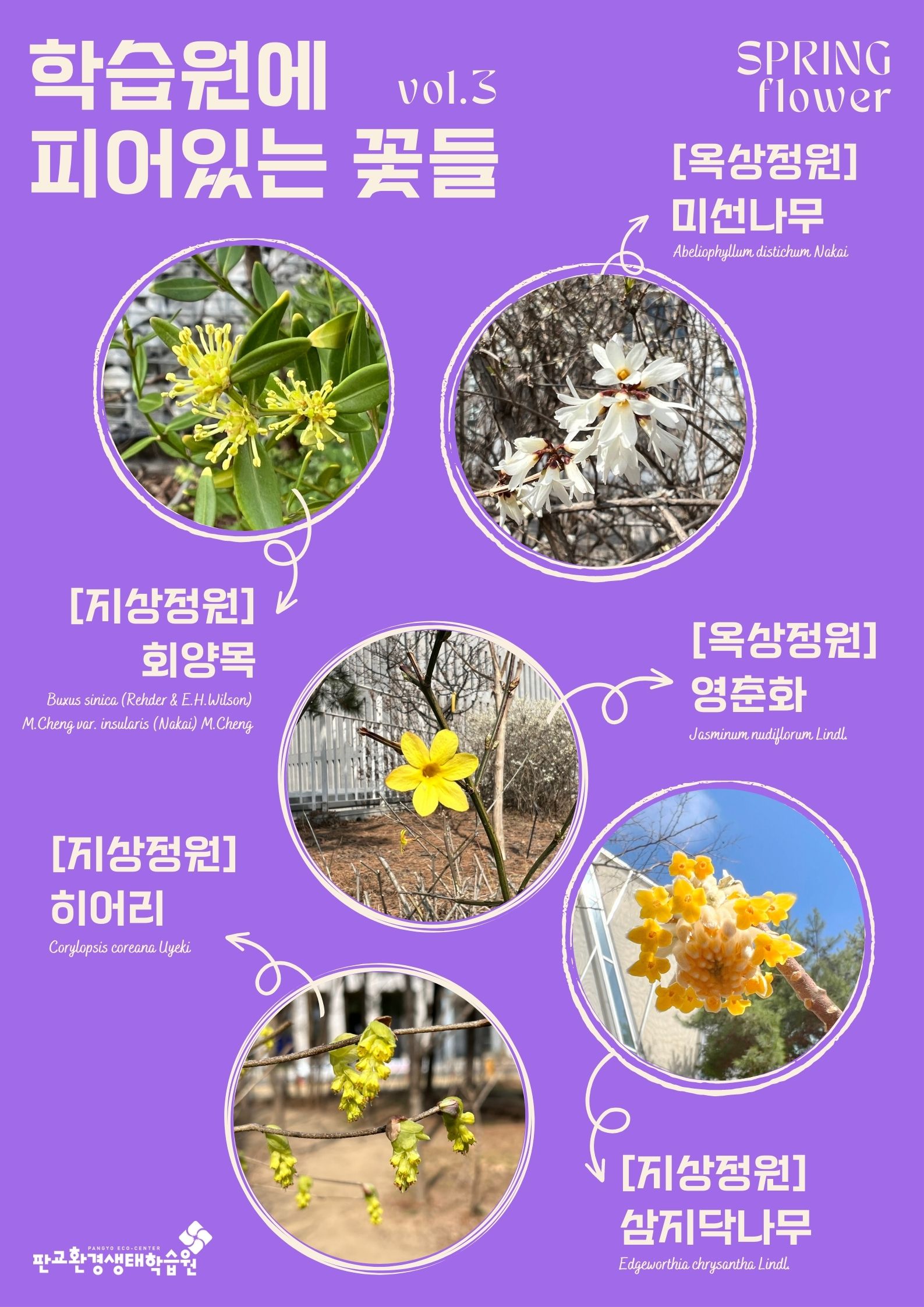 학습원에 피어있는 꽃들(봄_vol.3)