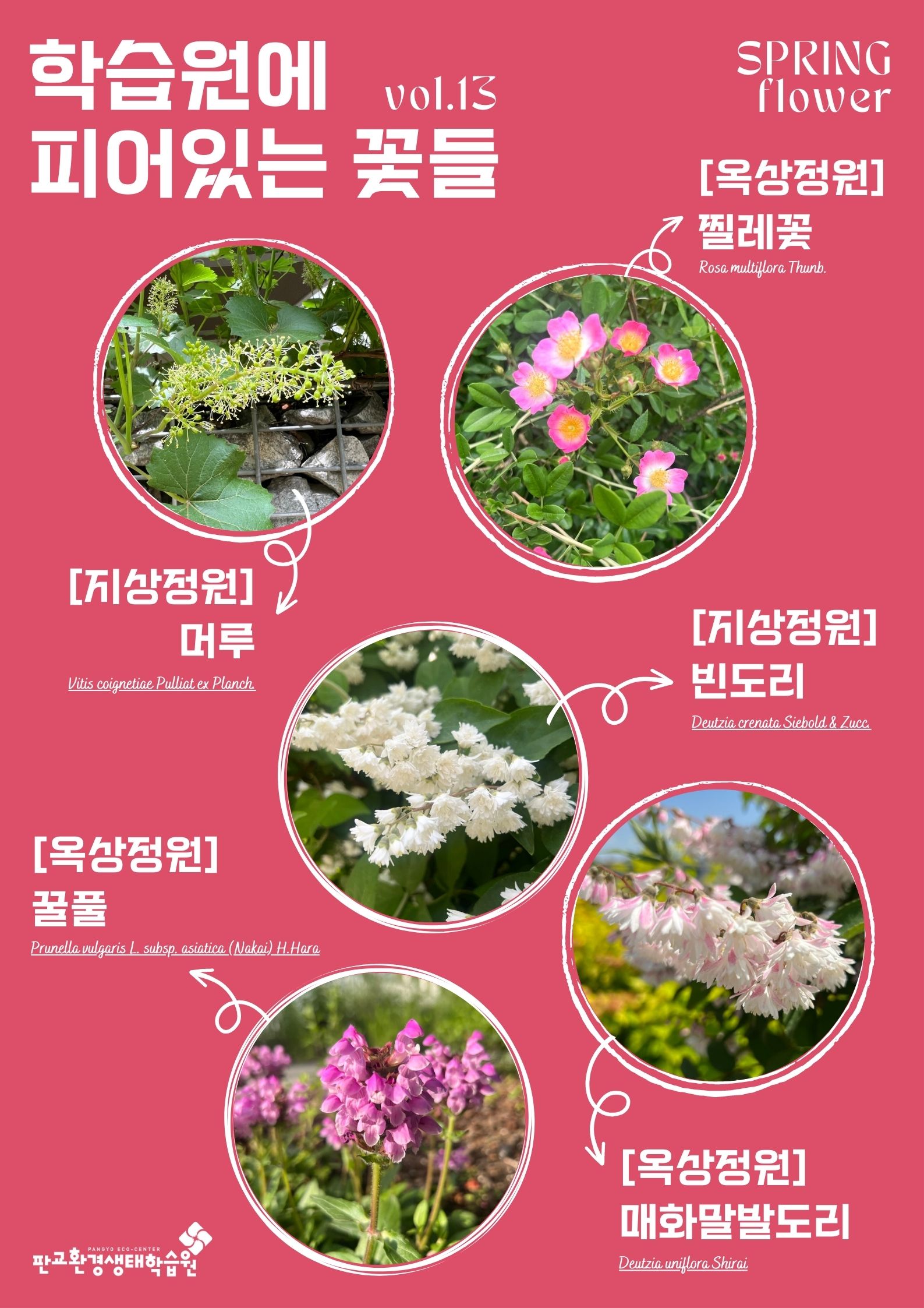 학습원에 피어있는 꽃들(봄_vol.13)