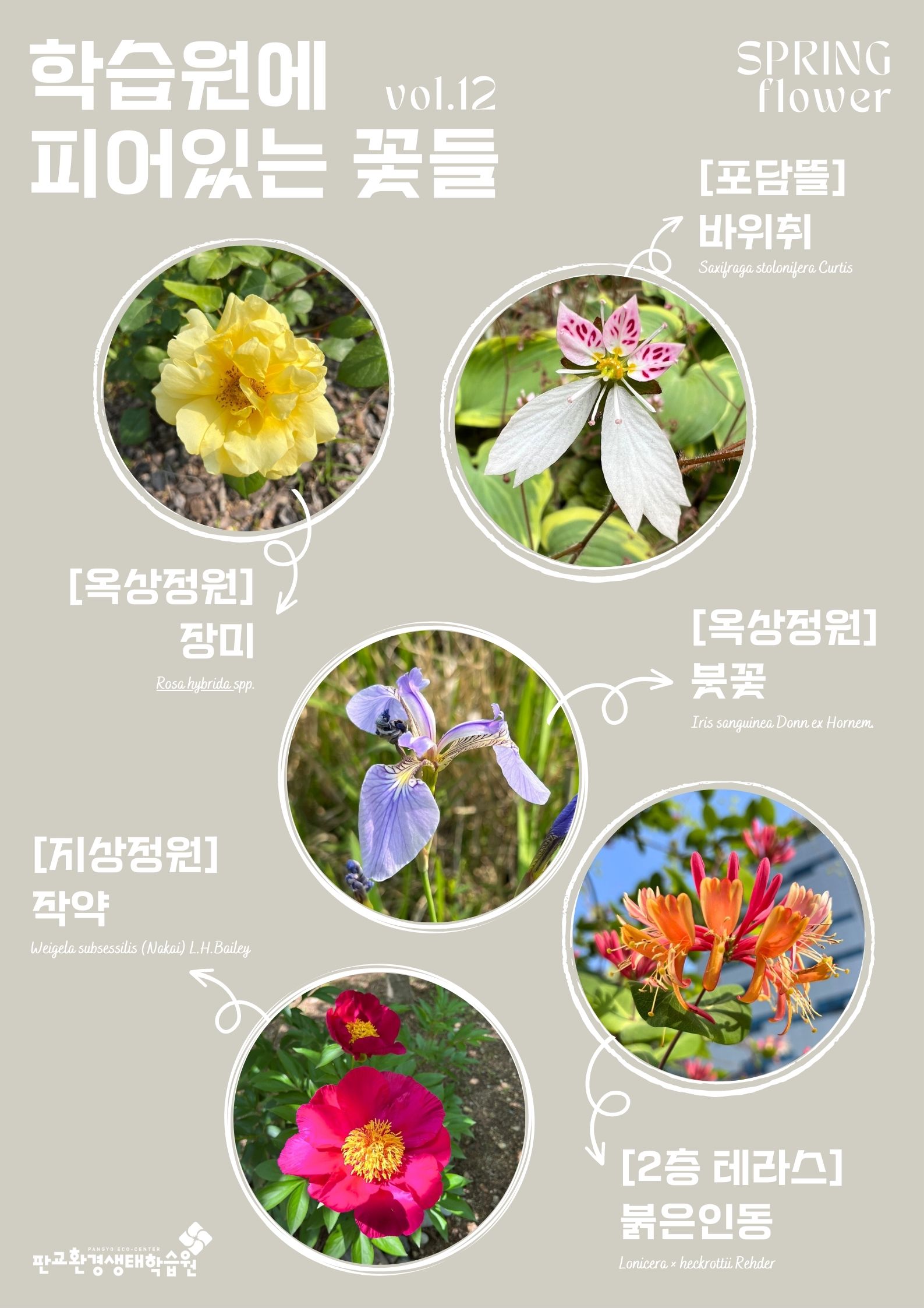 학습원에 피어있는 꽃들(봄_vol.12)