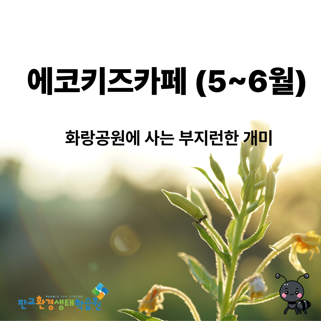 에코키즈카페 5~6월 교육후기