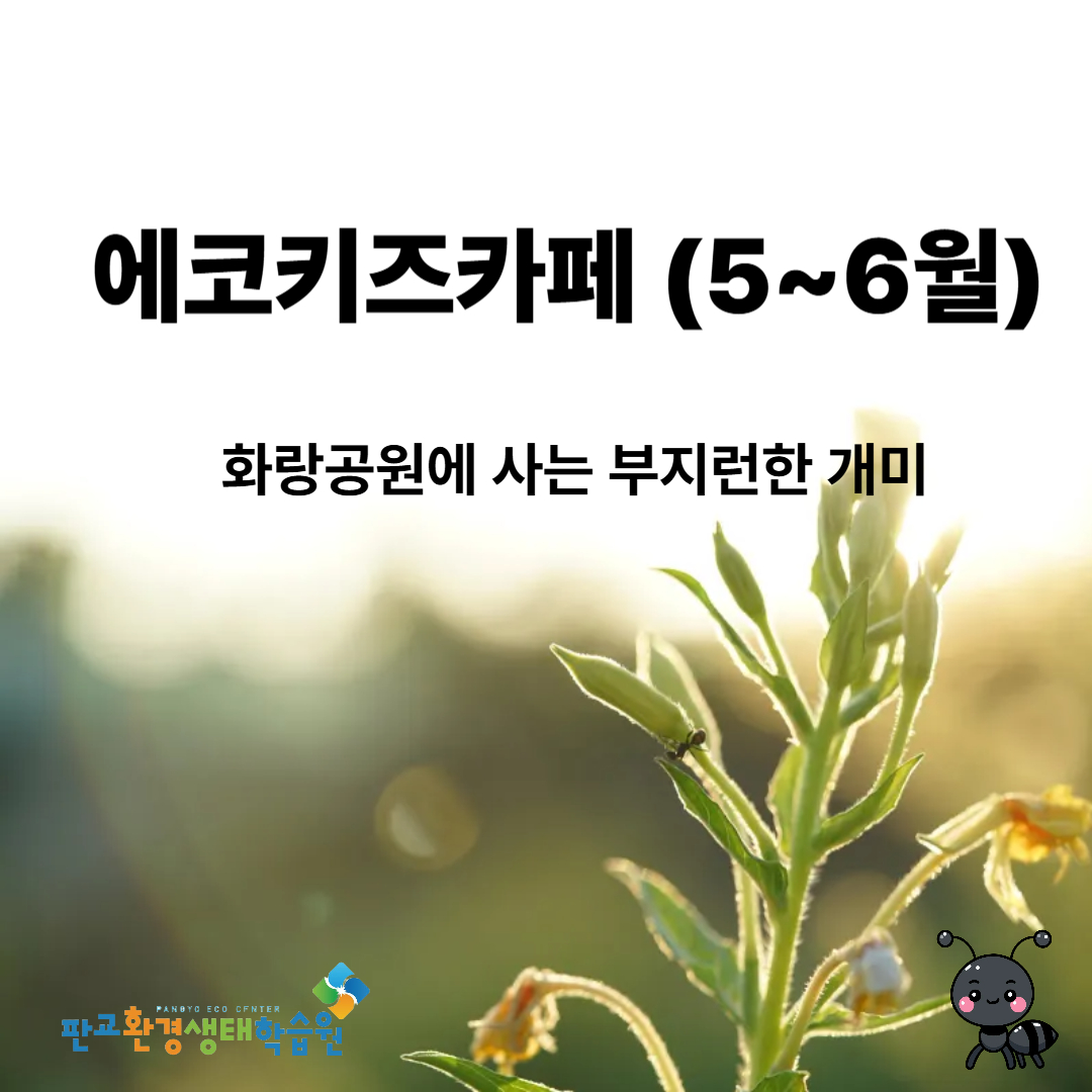 에코키즈카페 5~6월 교육후기