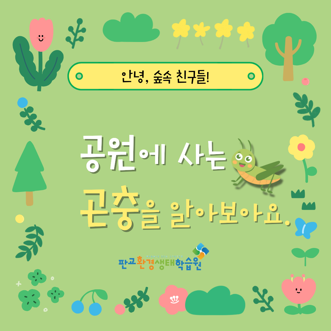 [교육후기] 안녕, 숲속친구들!_나비와 꽃은 친구에요. (2025년 7-9월)