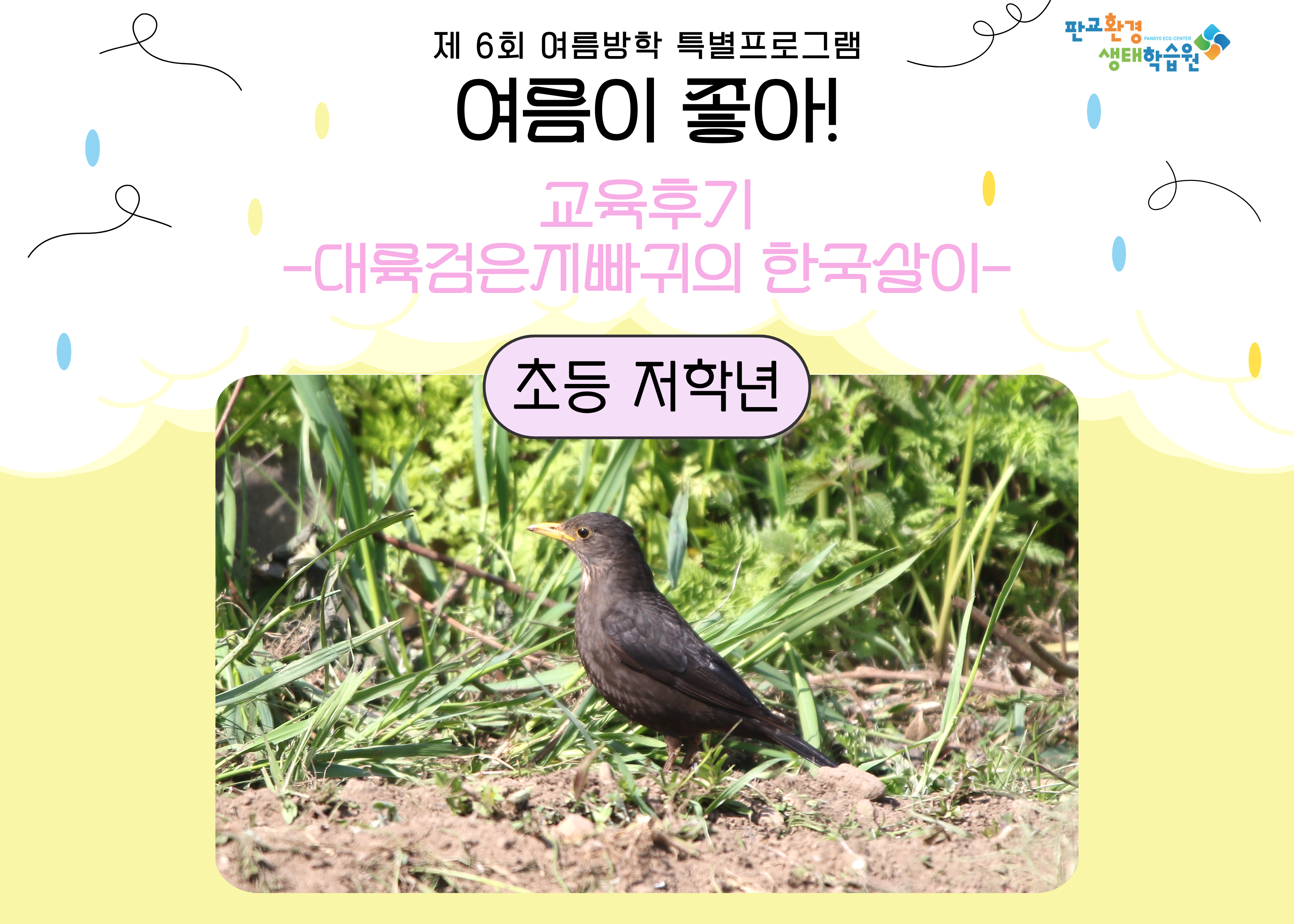 여름방학 특강 <여름이 좋아> 대륙검은지빠귀의 한국살이