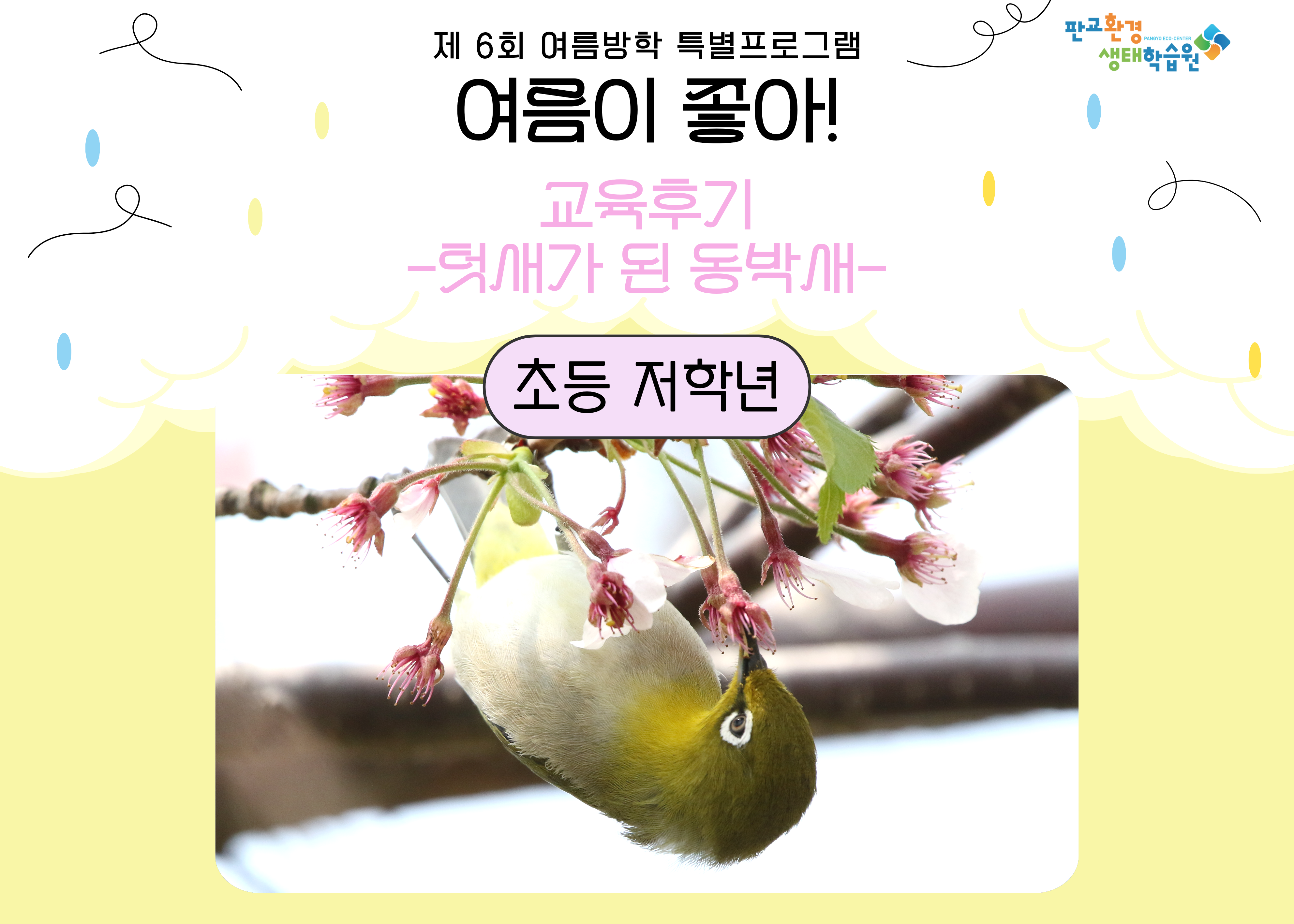 여름방학 특강 <여름이 좋아> 텃새가 된 동박새