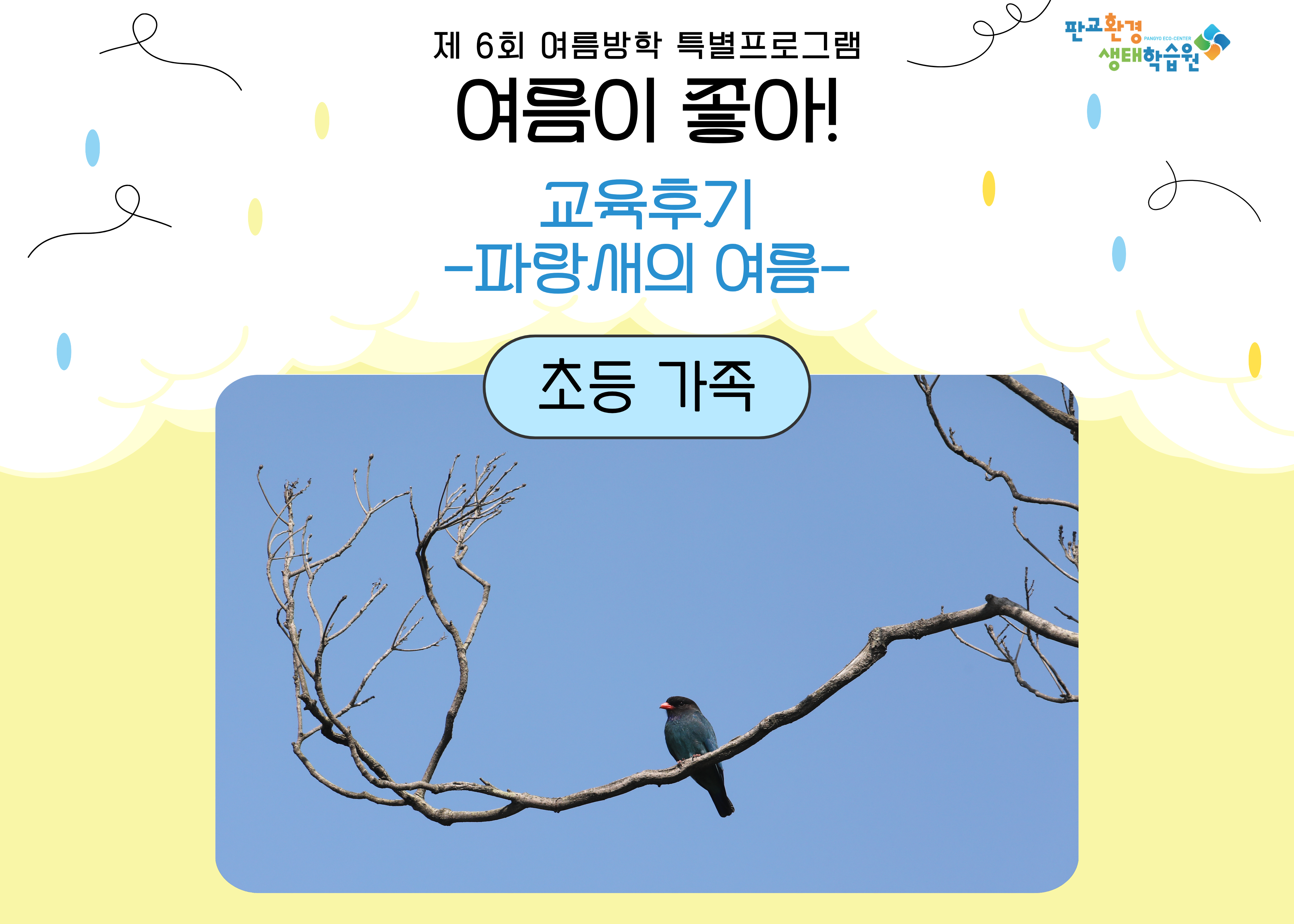 여름방학 특강 <여름이 좋아> 파랑새의 여름